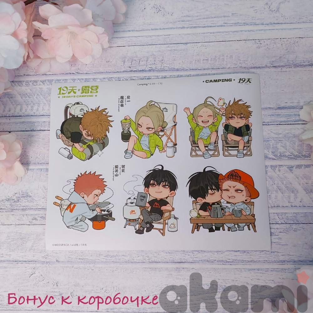 Mosspaca 19 дней - Однажды (19天) Олд рандомные значки Camping (Спецзаказ) - 5