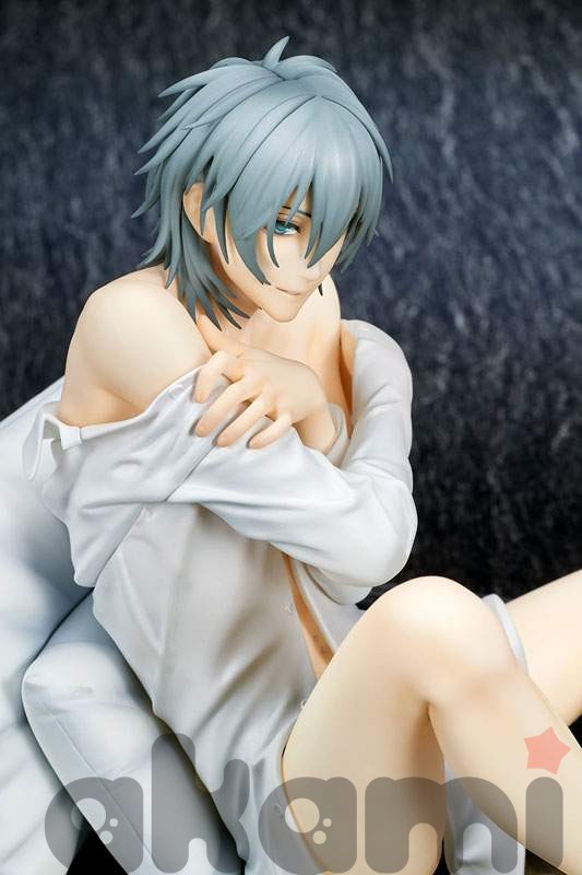 Complete Figure Akira 1/7 (Togainu no Chi) - 14