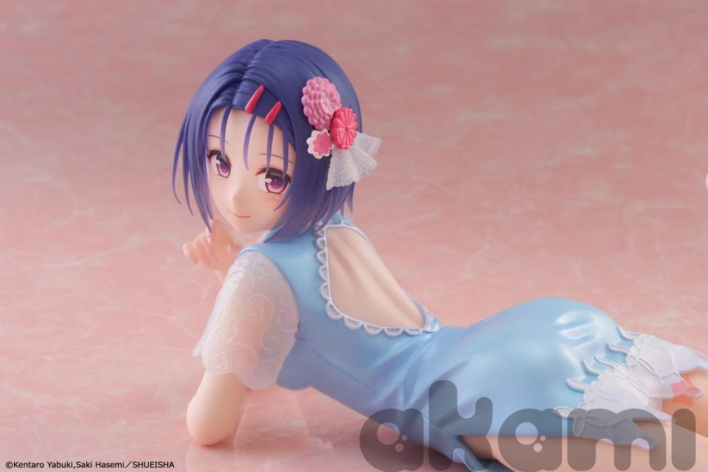 Sairenji Haruna Chinese Dress Ver. (To LOVEru Darkness) - 5
