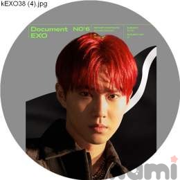 Значок маленький EXO 244
