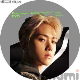 Значок маленький EXO 248