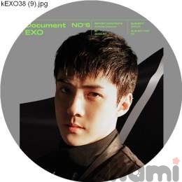 Значок маленький EXO 249